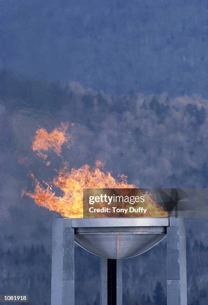 The Olympic Flame during the Winter Olympic Games at Lake Placid, NY, USA. \ Mandatory Credit: Tony Duffy /Allsport