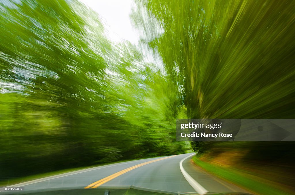 Driving fast on winding road, motion blur of trees