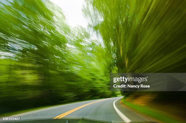 driving fast on winding road, motion blur of trees - nancy green stock pictures, royalty-free photos & images