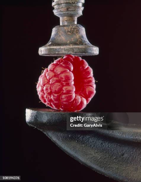 raspberry between vise grip on black background - vice grip stock pictures, royalty-free photos & images