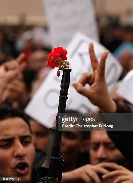 Demonstrators place flowers in the barrels of soldiers guns as people take to the streets again to protest for changes in Tunisia's new government on...
