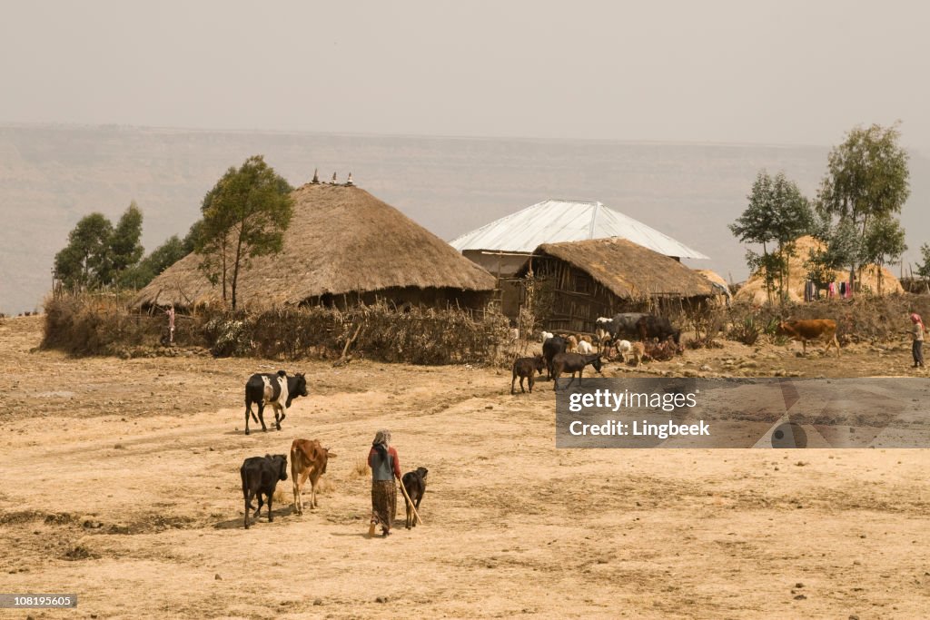 Afrikanischer Form der Landwirtschaft in Äthiopien