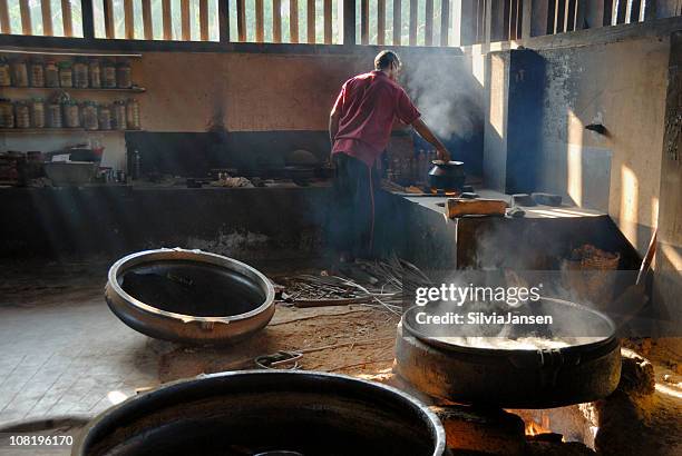 producing ayurvedic medicine - ayurveda stock pictures, royalty-free photos & images