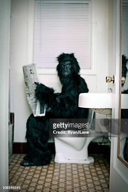 gorila utiliza uma casa de banho vintage ao ler o jornal - bathroom door imagens e fotografias de stock