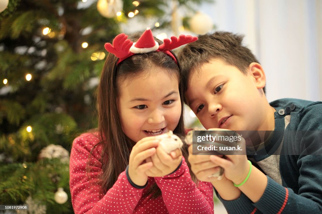 Christmas portrait of sibling with their pet hamster at home.