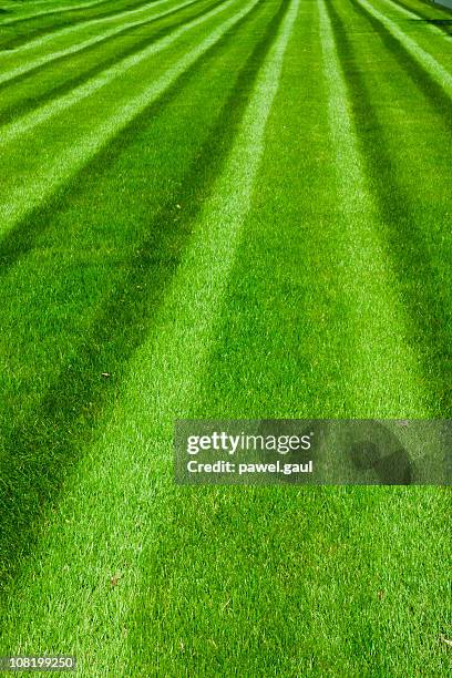 green soccer field - baseball background stockfoto's en -beelden