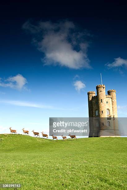 deer walking past english folly - cotswolds stock pictures, royalty-free photos & images