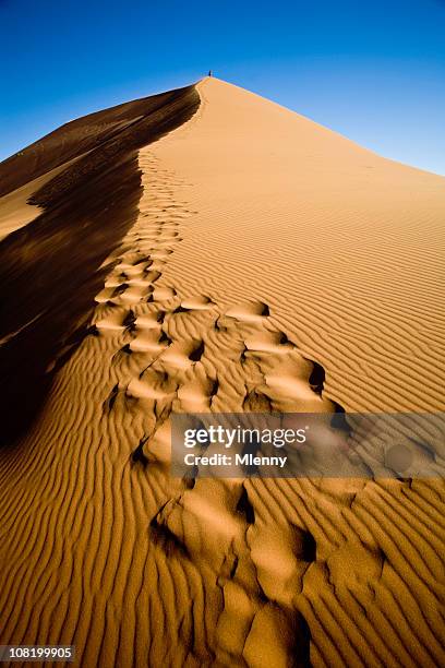 climbing up the sand dune - dead vlei stockfoto's en -beelden