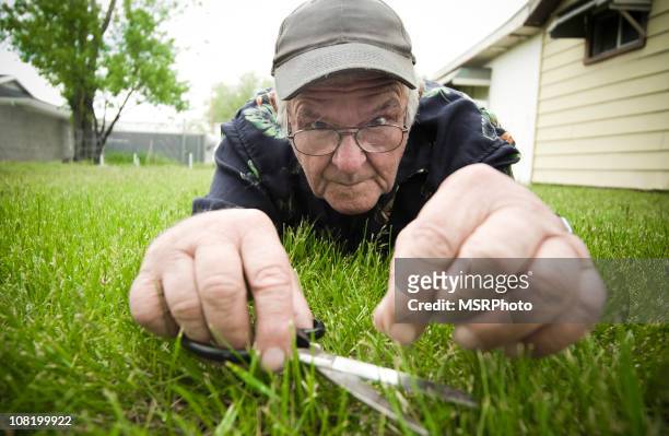 homme coupe l'herbe avec des ciseaux - obsession photos et images de collection
