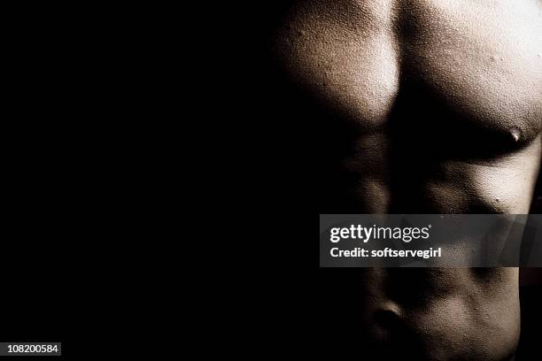 brust männliche body builder - rumpf stock-fotos und bilder