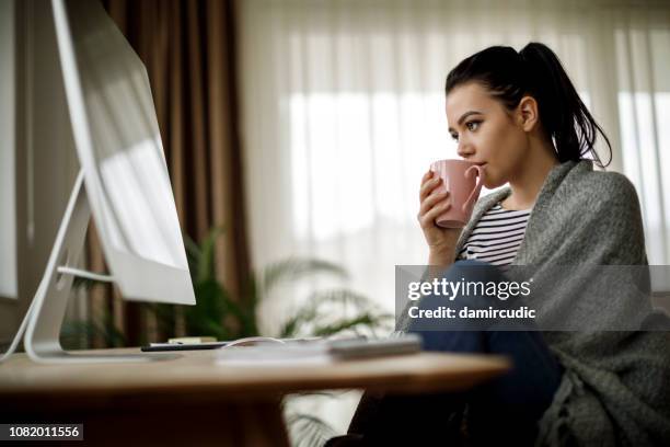 young woman working at home - extreme cold temperature stock pictures, royalty-free photos & images