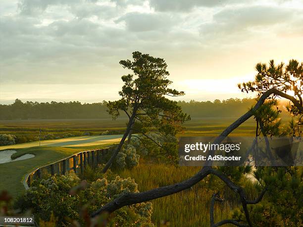 verde costiero campo da golf presso l'alba - carolina del sud foto e immagini stock