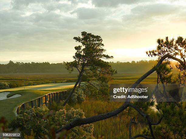 green coastal golf course at sunrise - south carolina stock pictures, royalty-free photos & images