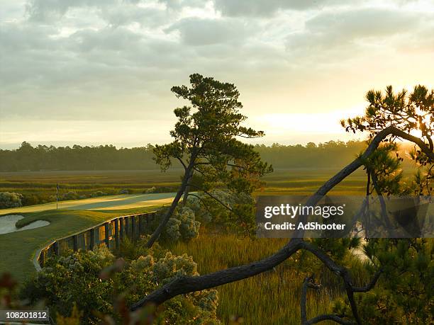 costa verde campo de golfe ao nascer do sol - carolina do sul - fotografias e filmes do acervo