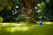 Garden Hose Sprinkler