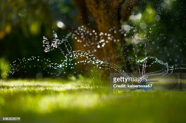 mangueira de jardim de sprinkler - aspersor - fotografias e filmes do acervo