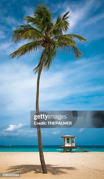 playa de hollywood - hollywood florida fotografías e imágenes de stock