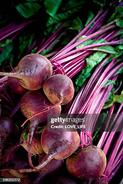 beete - rote rübe stock-fotos und bilder