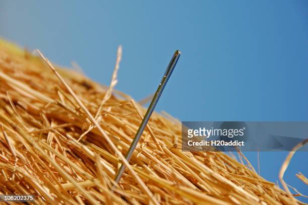 needle in a haystack - sewing needle stock pictures, royalty-free photos & images