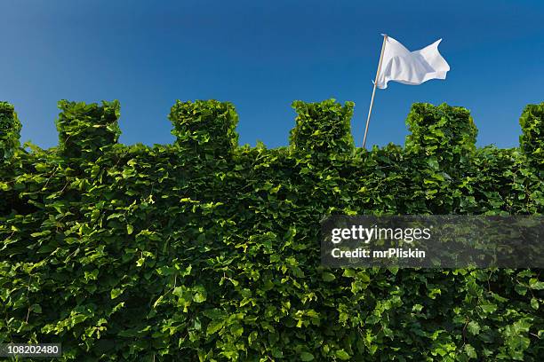 white flag raised above turret hedge - white flag stock pictures, royalty-free photos & images