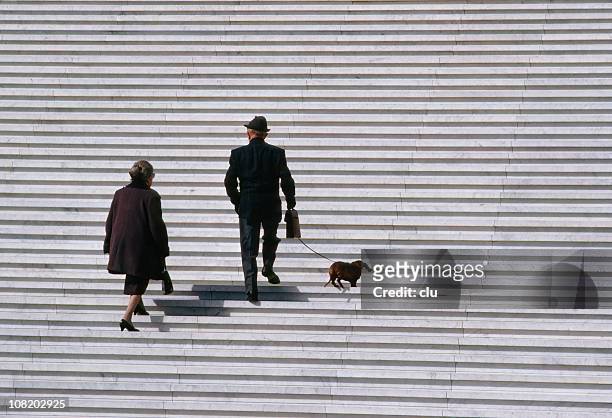 coppia senior a piedi bassotto cane su scale - salire le scale foto e immagini stock