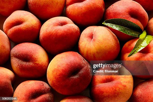 peaches in pile - succulents stock pictures, royalty-free photos & images