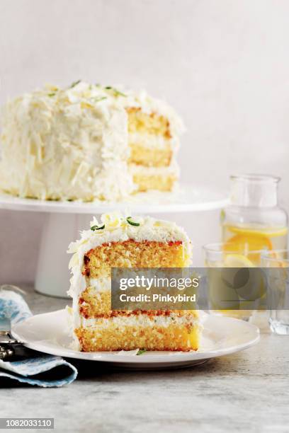 cake,sponge cake with white chocolate,victoria sponge cake - cake slices imagens e fotografias de stock