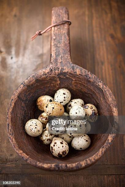 quail eggs - spotted egg stock pictures, royalty-free photos & images