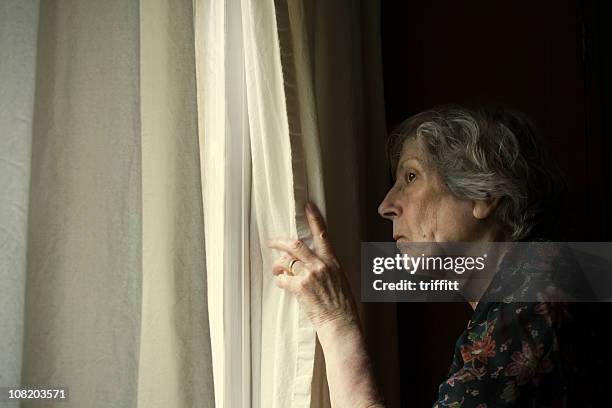 keeping an eye on the neighbours. - gluren stockfoto's en -beelden