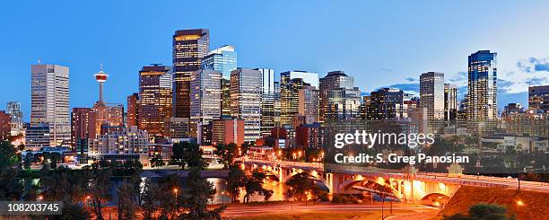 vue sur calgary - calgary photos et images de collection