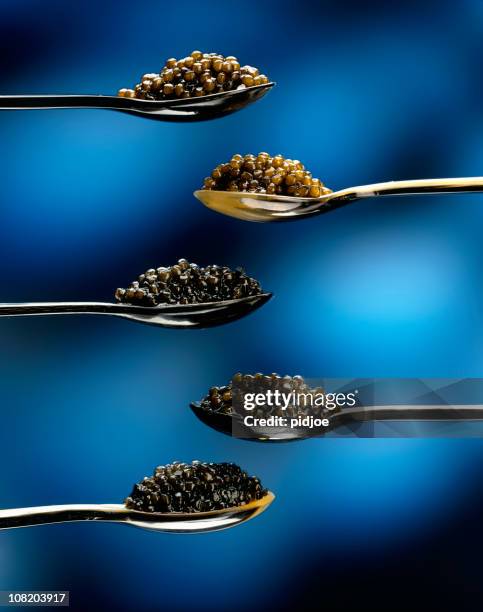 caviar on five spoons - caviar stock pictures, royalty-free photos & images