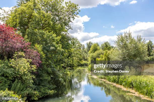 summertime in constable country - the river stour at bures, suffolk uk - bures stock-fotos und bilder