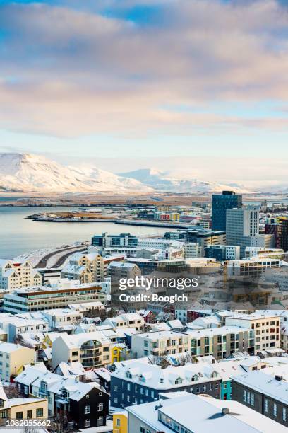 uitzicht op downtown reykjavik-ijsland op winter ochtend - reykjavik stockfoto's en -beelden