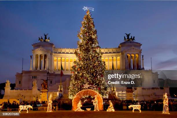 chirstmas tree in venice square, rome - italy - christmas in rome stock pictures, royalty-free photos & images