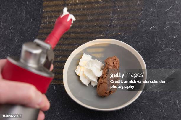 chocolate mousse and whipped cream - vispgrädde bildbanksfoton och bilder