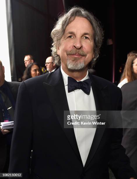 Peter Farrelly attends the 24th annual Critics' Choice Awards at Barker Hangar on January 13, 2019 in Santa Monica, California.