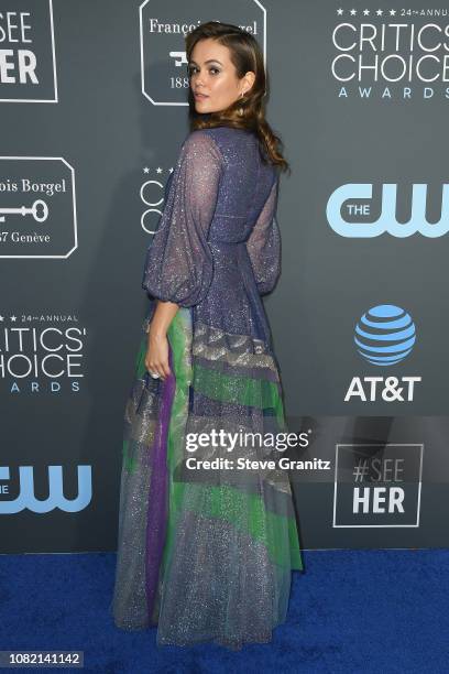 Dina Shihabi attends the 24th annual Critics' Choice Awards at Barker Hangar on January 13, 2019 in Santa Monica, California.