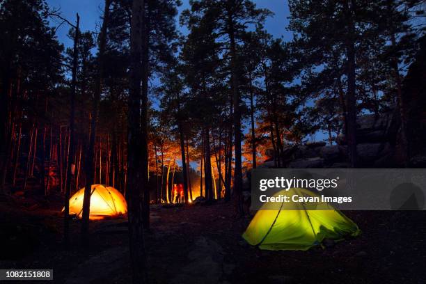 illuminated tents on field in forest at night - zelt nacht stock-fotos und bilder