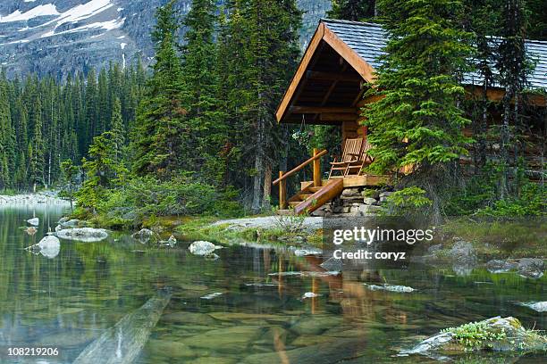 log cabin hidden in the trees by the lake ohara in canada - cottage stockfoto's en -beelden