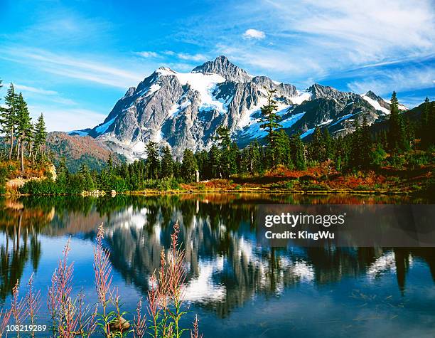 beauty in nature - north cascades national park bildbanksfoton och bilder