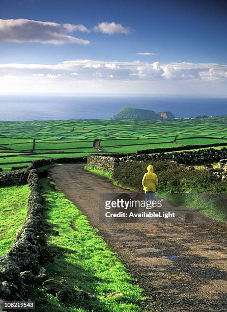 man in raincoat walking down hill with lush green fields - azores people stock pictures, royalty-free photos & images