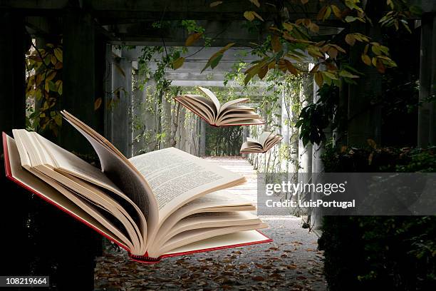 books flying through abandoned hallway - fantasy border stock pictures, royalty-free photos & images