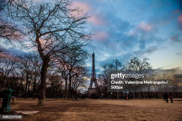 torre eiffel - torre eiffel stock pictures, royalty-free photos & images