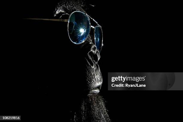 cool sunglasses gorilla with copy space - aviator glasses stock pictures, royalty-free photos & images
