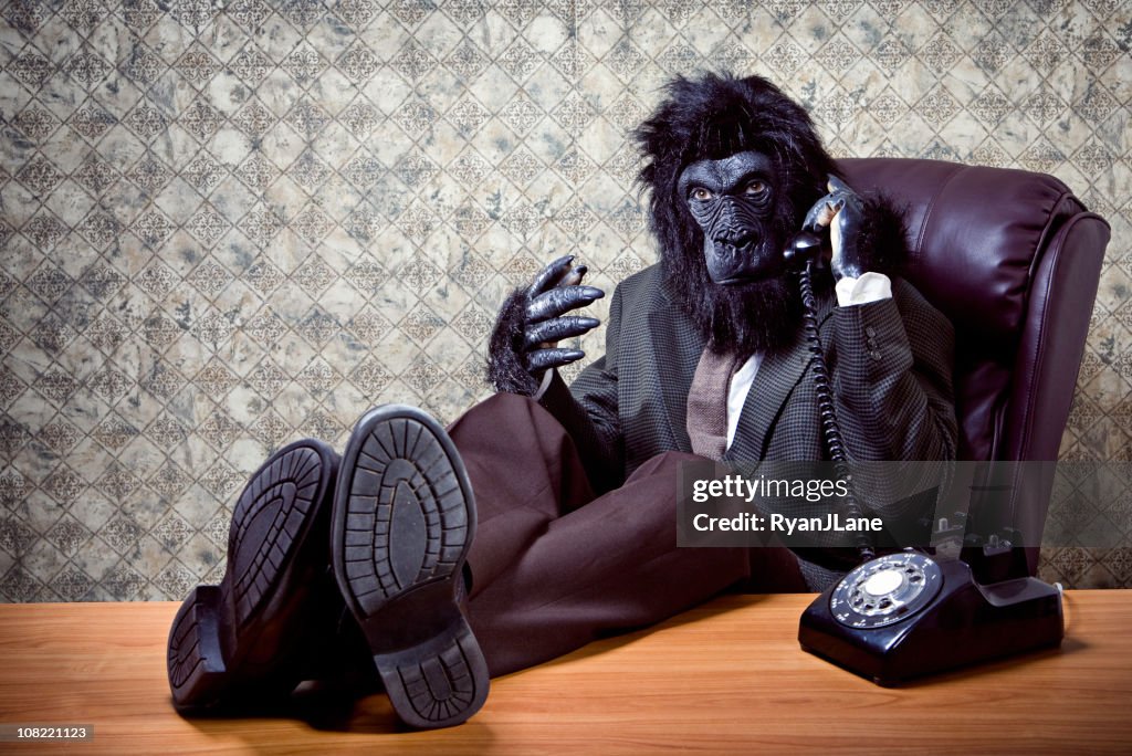 Reclining Business Gorilla on a Phone Call