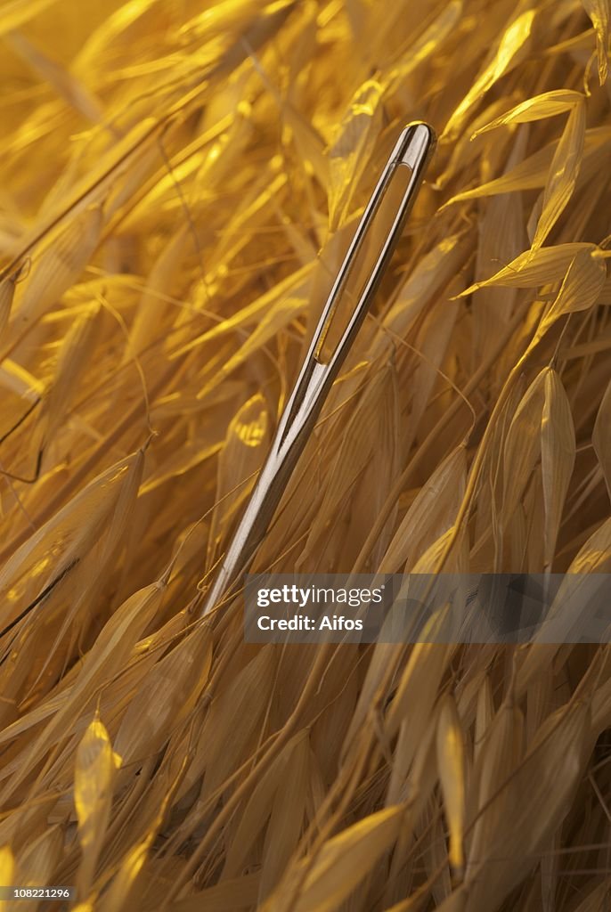 Close-Up of Needle Laying in Hay Stack