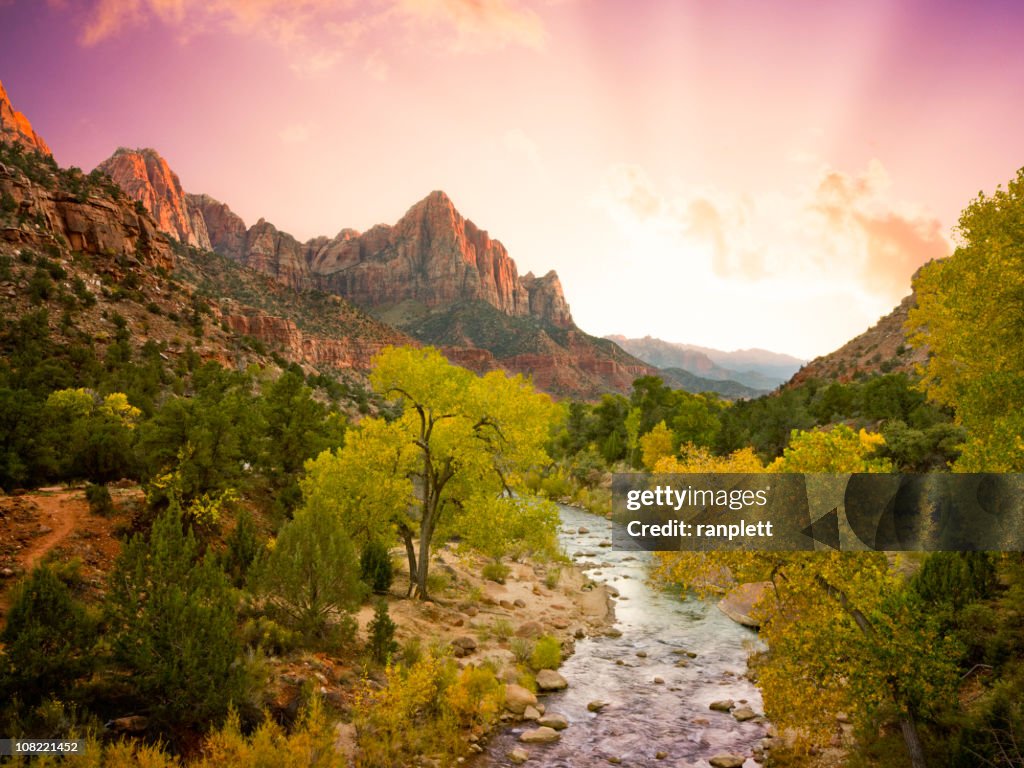 Beautiful Zion National Park Landscape (XXL)