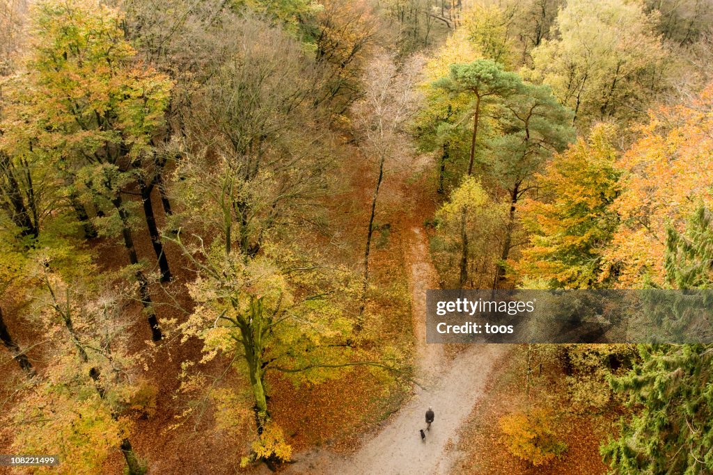 Aerial view of park in Autumn, with colorful fall foliage