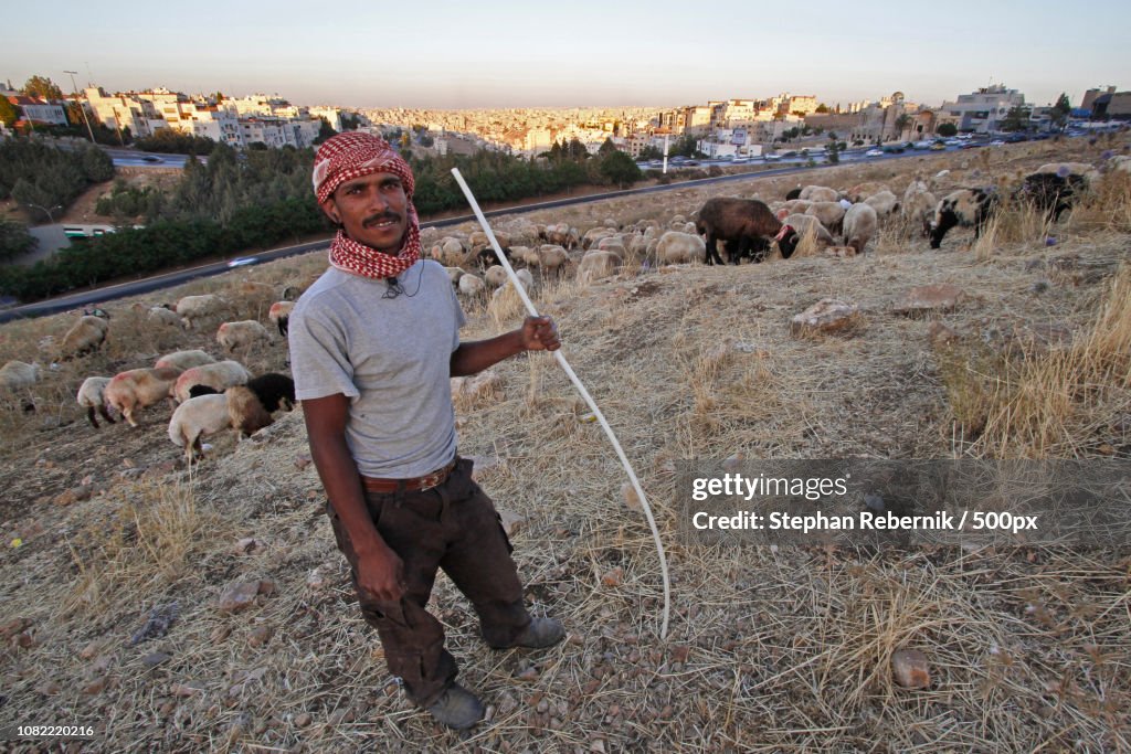 Shepherd / Amman, Jordan (2013)