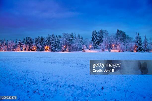 congela el país de las maravillas de invierno - north pole fotografías e imágenes de stock